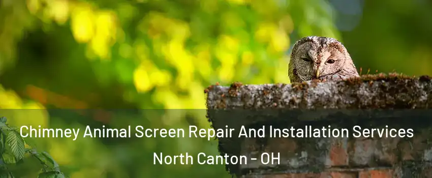  Chimney Animal Screen Repair And Installation Services North Canton - OH