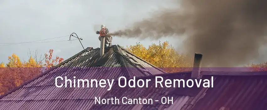  Chimney Odor Removal North Canton - OH