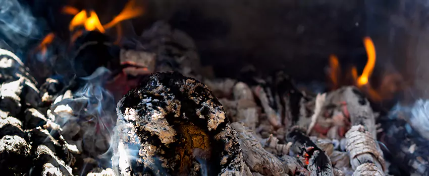 Creosote Removal Experts in North Canton, OH