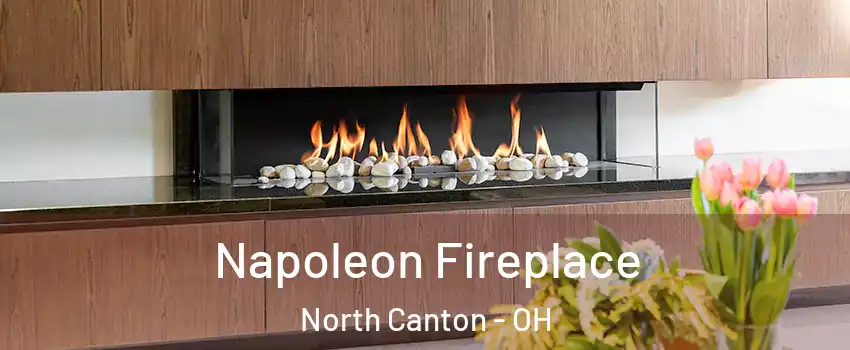  Napoleon Fireplace North Canton - OH
