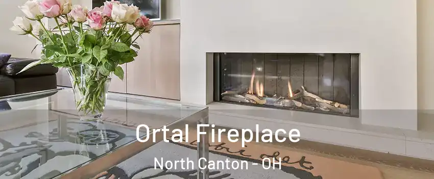 Ortal Fireplace North Canton - OH